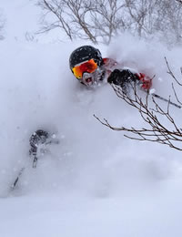 Brian Muller
