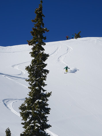 Junior Backcountry Clinic