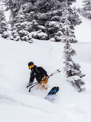 Intro to Backcountry Skiing & Splitboarding