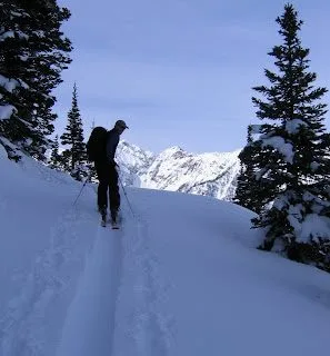 Seth Skinning Tanners