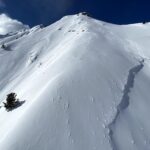 Thumbnail of http://Feb%202020%2040%20Year%20Avi%20Cycle