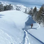 Thumbnail of http://backcountry%20skinning%20uma