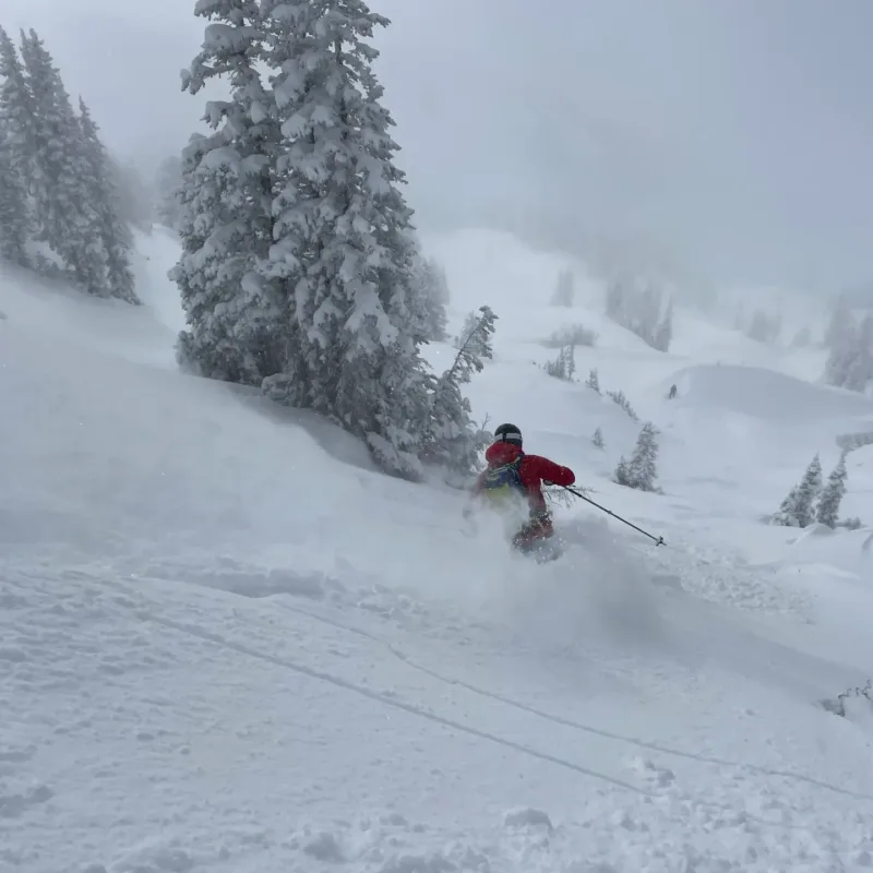 backcountry touring deep blower grizzly guch uma