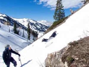 Mountaineering Instruction & Skill Building